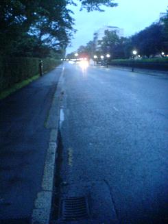 Regent's Park - Early and Wet