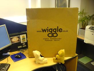 Bears watch over the Wiggle delivery 