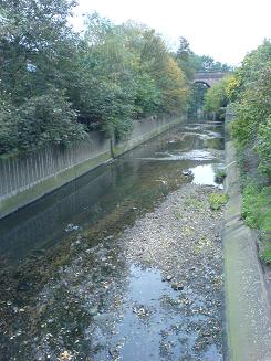 Hanger Lane Canal