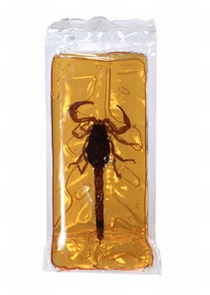 Scorpion Lolly Pop Scorpion Lolly Pop